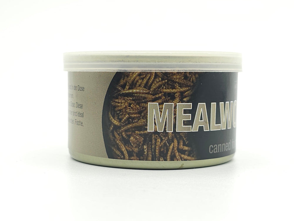 Mehlwürmer konserviert 35g Dose - futter - tiere.de