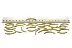 1 KG Mehlwürmer getrocknet - futter - tiere.de