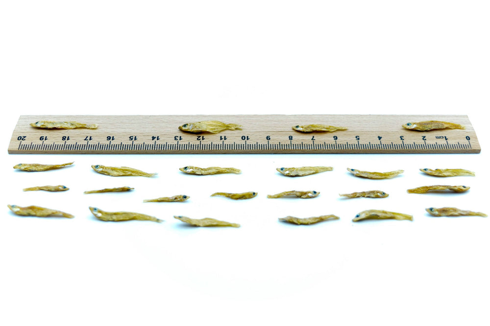 10 KG Fische 1 - 3 cm getrocknet - futter - tiere.de