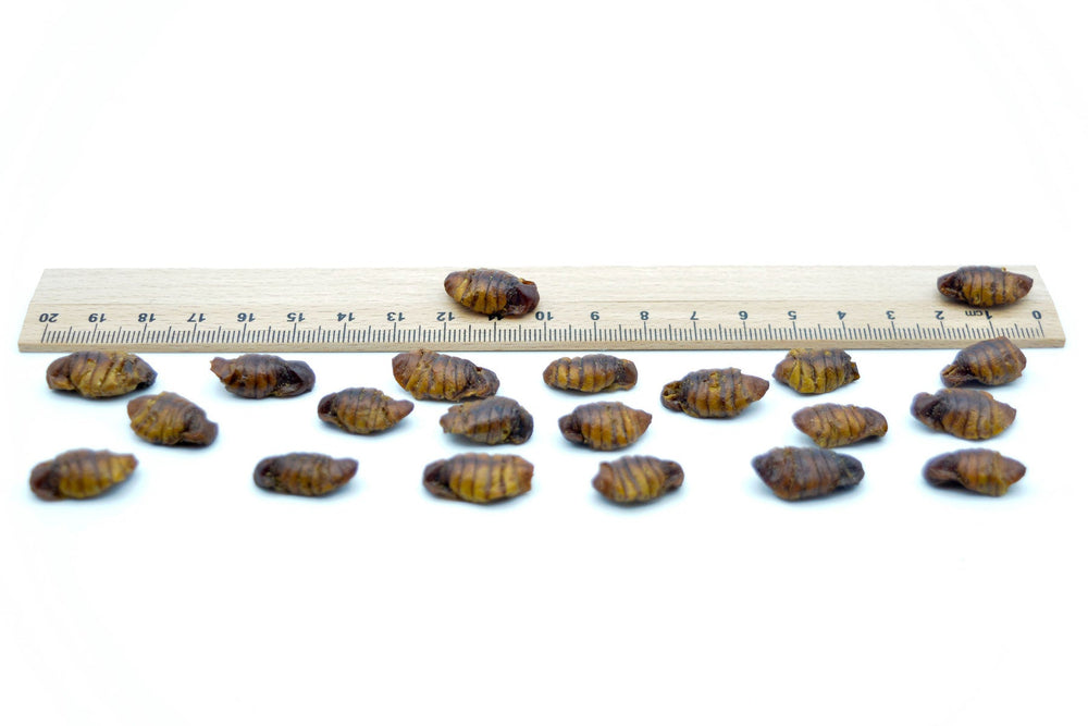 2 KG Seidenraupen getrocknet - futter - tiere.de