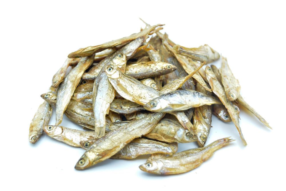 Fische Groß getrocknet 0,2 - 20 KG - futter - tiere.de