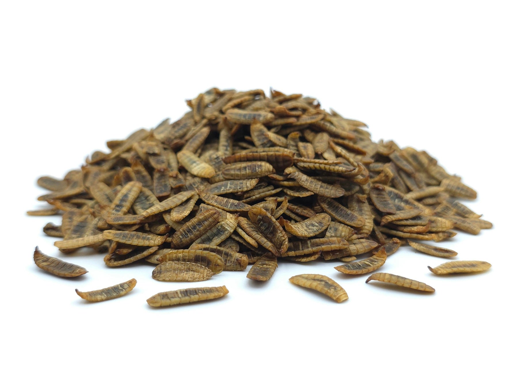 Soldatenfliegenlarven getrocknet Premium 0,2 - 25 KG