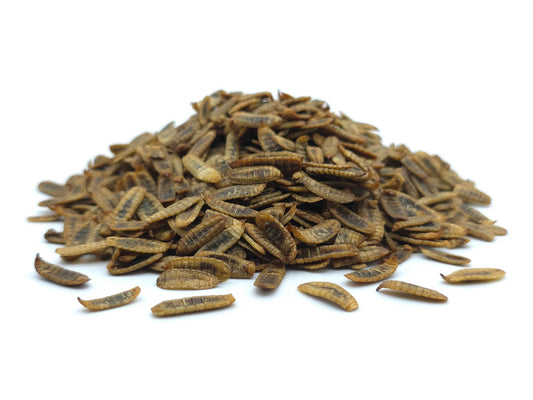 Soldatenfliegenlarven getrocknet Premium 0,2 - 25 KG