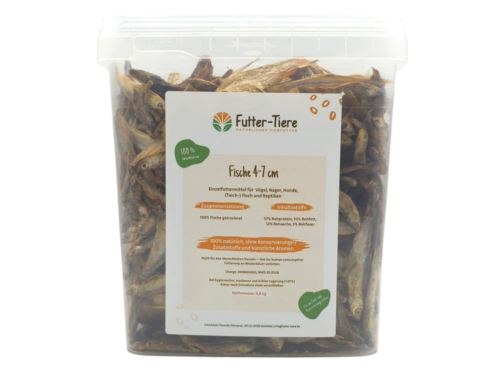 Futterfische 4–7 cm getrocknet 0,8 kg im 5,5 Liter Eimer