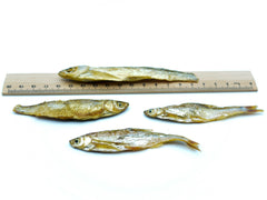 Futterfische 4–7 cm getrocknet als Naturfutter für Wasserschildkröten