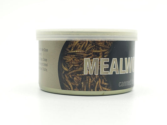 Mehlwürmer konserviert 35g Dose - futter - tiere.de