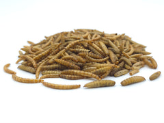 Insekten-Mix getrocknet - 0,2 bis 20kg