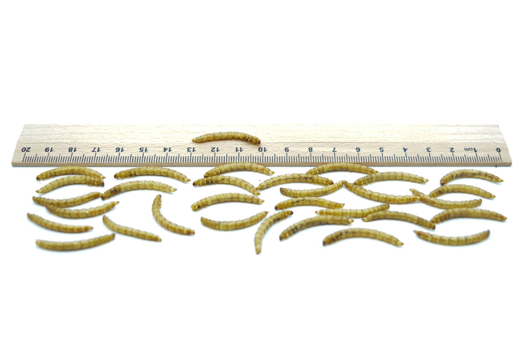 1 KG Mehlwürmer getrocknet - futter - tiere.de