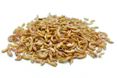 2 KG Bachflohkrebse - Gammarus getrocknet - futter - tiere.de