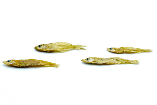 20 KG Fische 1 - 3 cm getrocknet - futter - tiere.de
