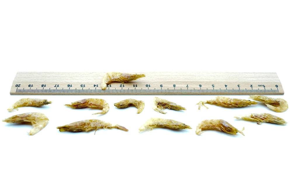 20 KG Garnelen 2 - 4 cm getrocknet (Shrimps) - futter - tiere.de