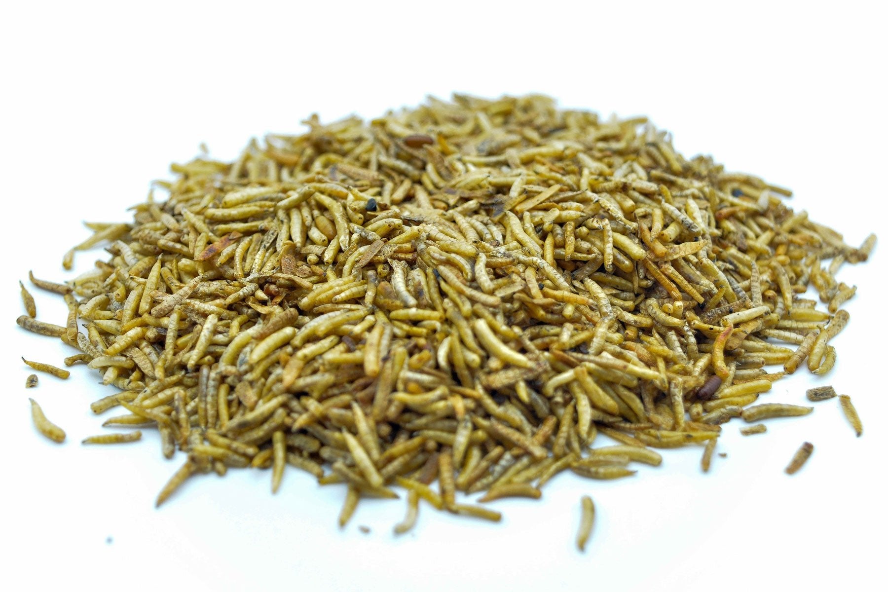 5 KG Fliegenlarven (Maden) getrocknet - futter - tiere.de
