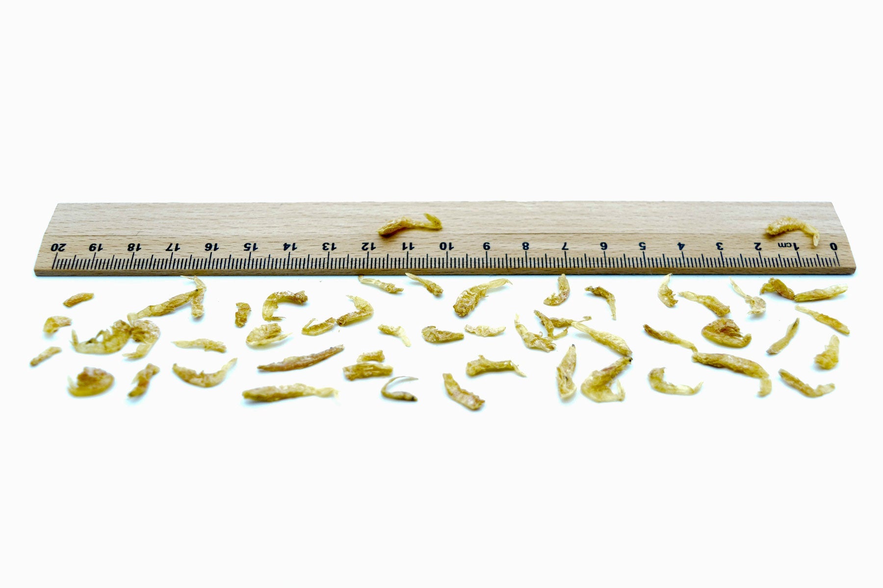 5 KG Garnelen 1 - 2cm getrocknet (Shrimps) - futter - tiere.de