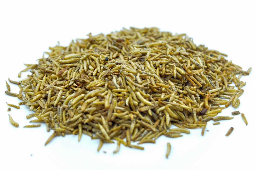 Fliegenlarven (Maden) getrocknet 0,2 - 20 KG - futter - tiere.de