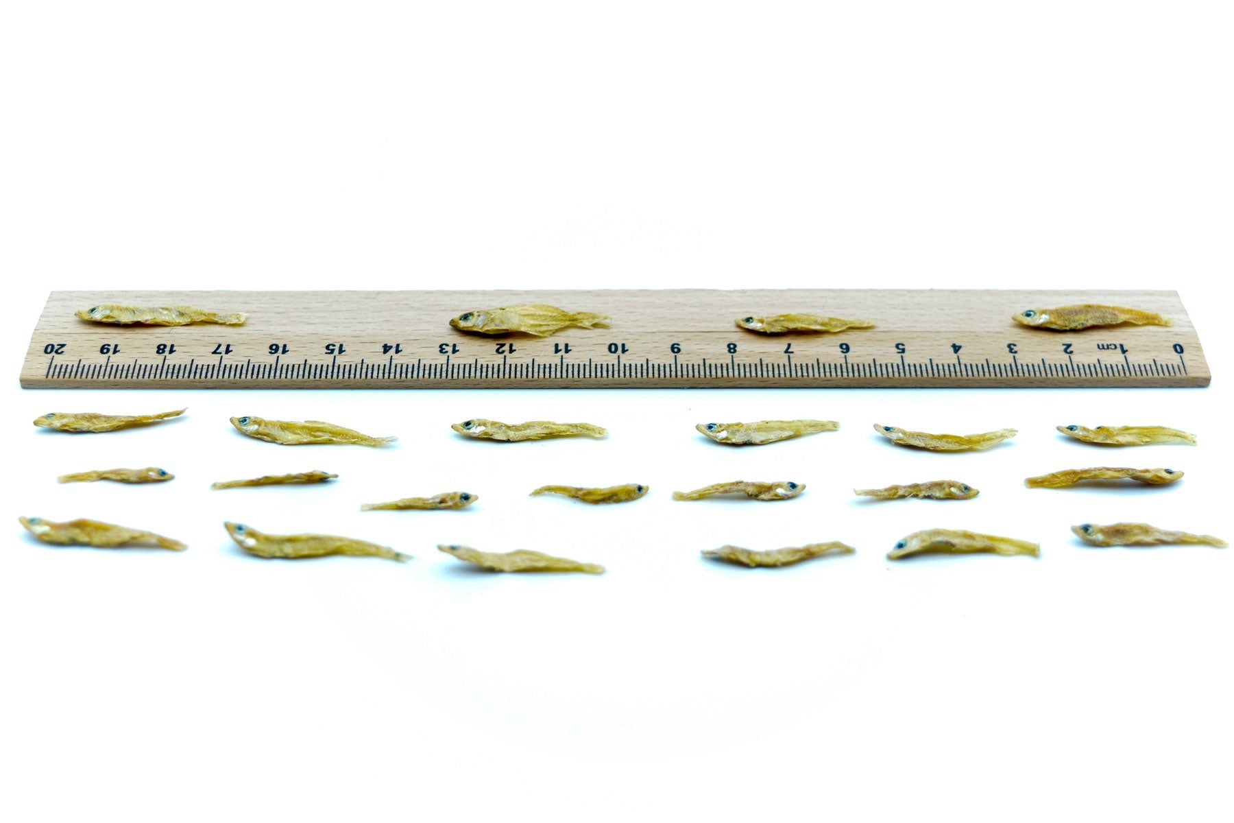 Nahaufnahme von getrockneten Futterfischen 1–3 cm in Premium Qualität
