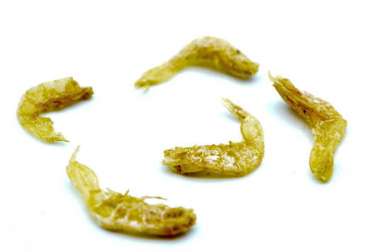 Garnelen 1 - 2cm getrocknet (Shrimps) 0,2 - 20 KG - futter - tiere.de