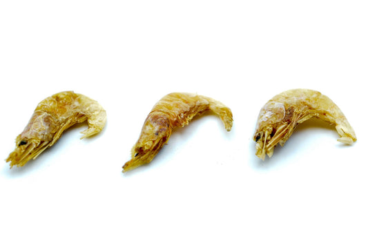 Garnelen 2 - 4 cm getrocknet (Shrimps) 0,2 - 20 KG - futter - tiere.de