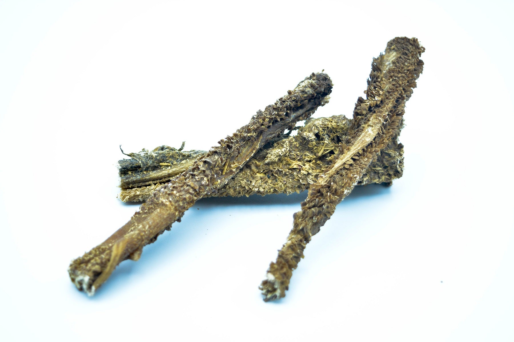 Lammpansen - futter - tiere.de