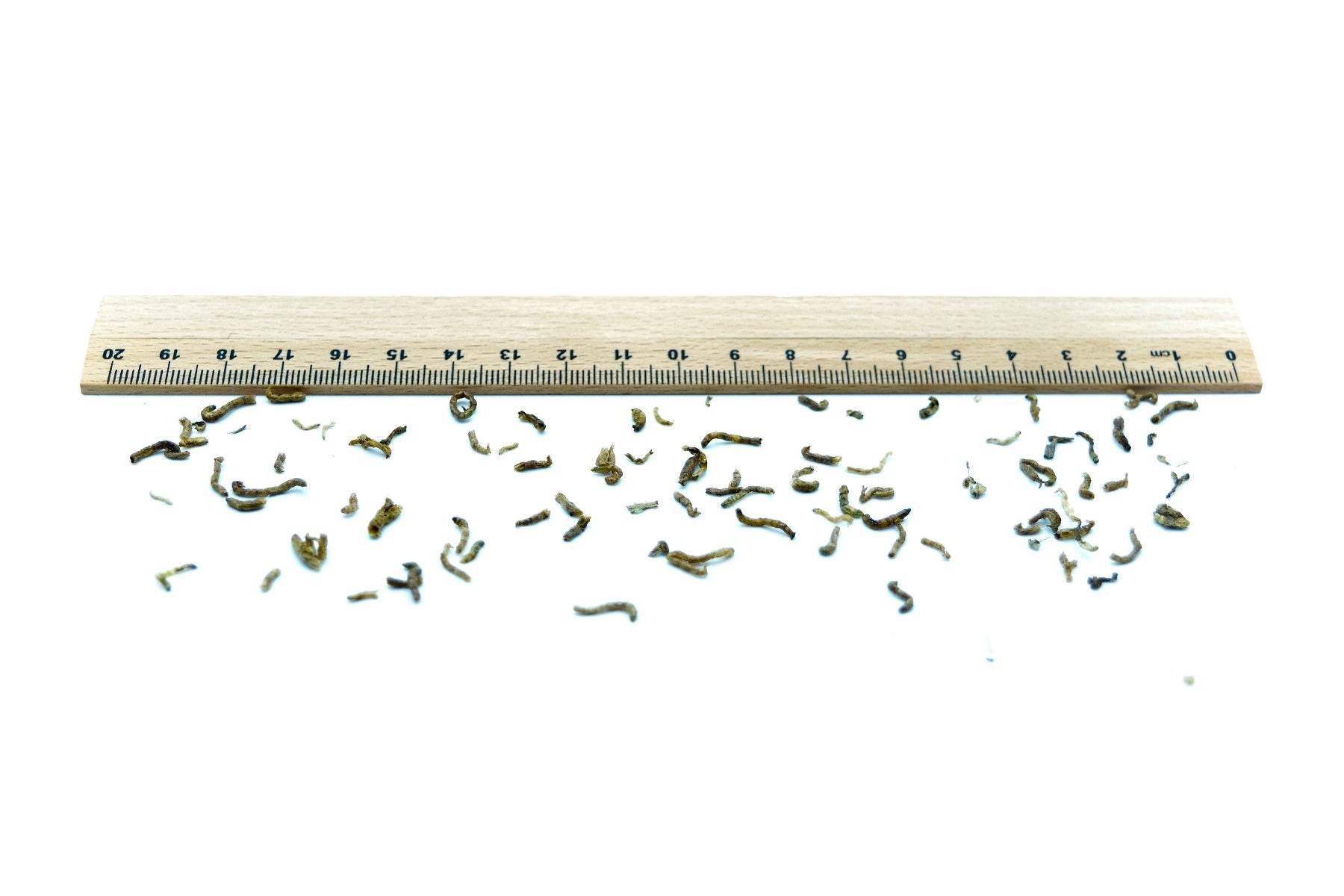 Rote Mückenlarven getrocknet 0,05 - 5 KG - futter - tiere.de